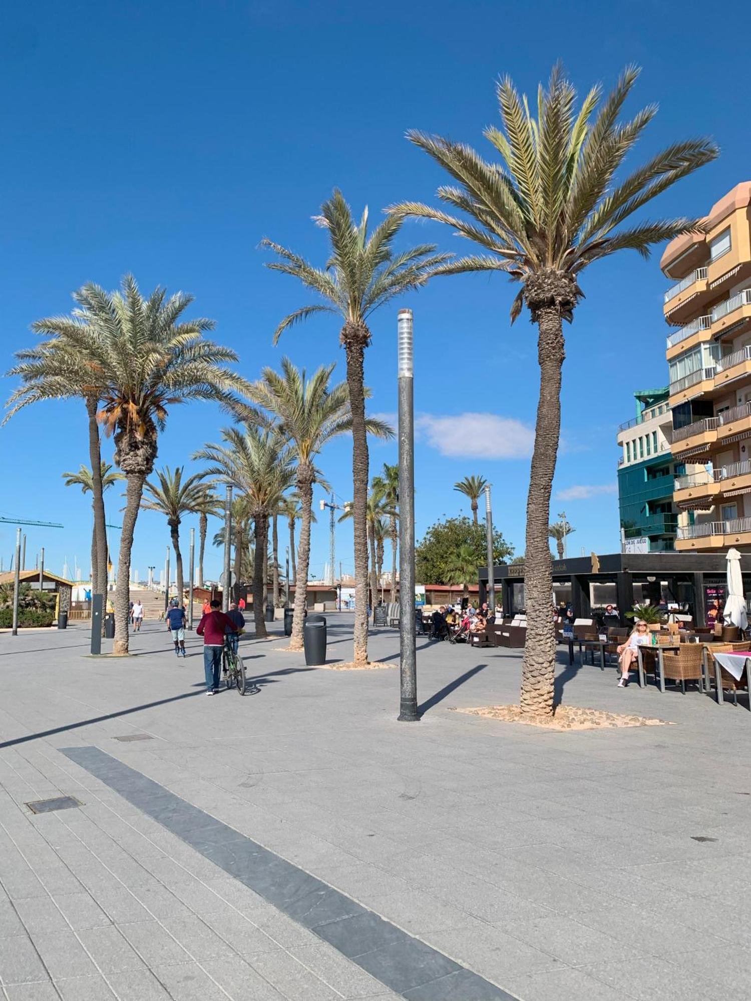 Princesa Blanka By Zanis Torrevieja Kültér fotó